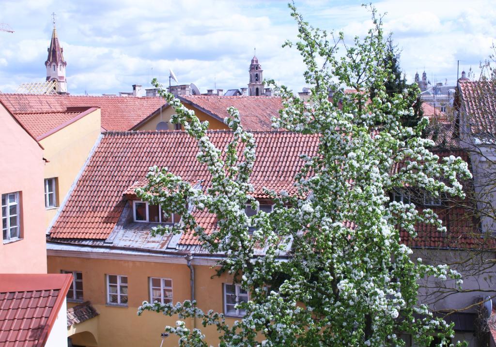 Old Town Apartment Antokolskio Vilnius Bagian luar foto